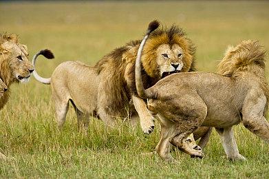 为庆祝游戏上市SquareEnix打造破坏剑圣诞树